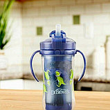 Поильник-непроливайка с трубочкой Dr.Brown's, 2 ручки, 300 мл, 12+, BPA-free, фото 4