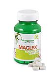 Маглекс таблетки, 750 мг 60 тб  Sangam Herbals