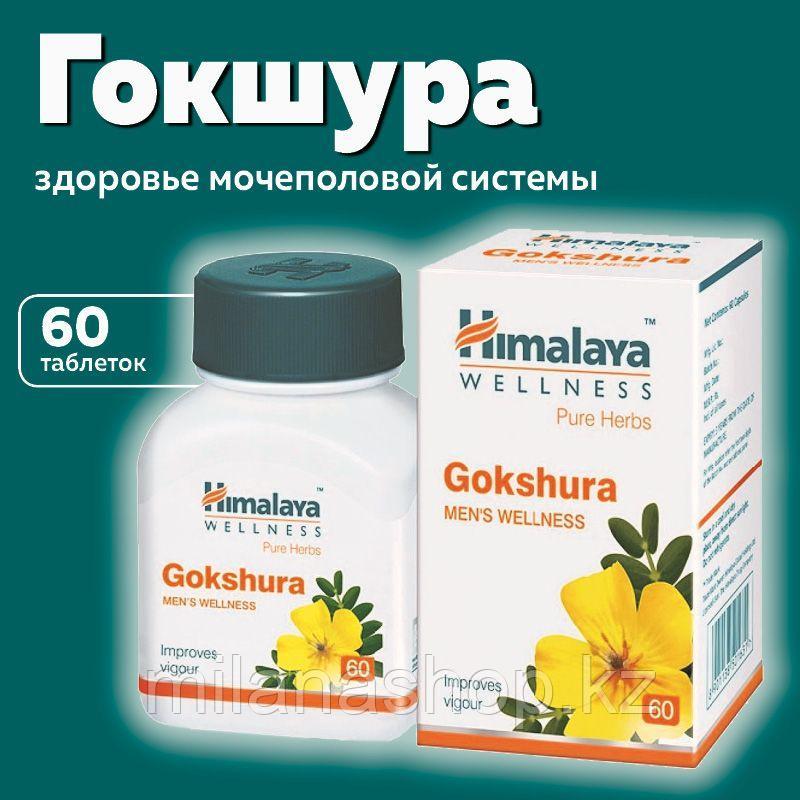 Гокшура Хималая ( Gokshura Himalaya ) для мужского здоровья, укрепляет потенцию 60 таб