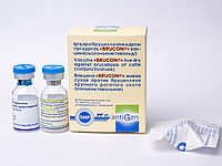 Вакцина «Брукон» живая сухая против бруцеллеза крупного рогатого скота из штамма Brucella abortus-19 для конъю