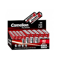 Батарейка CAMELION Plus Alkaline 20LR6+20LR03-SP4-CB 40 дана. қаптамаға