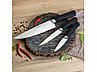 Набор из 3 кухонных ножей в универсальном блоке,  NADOBA, серия UNA, фото 9