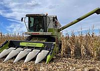 Жатка для уборки кукурузы Elibol 6-ти рядная