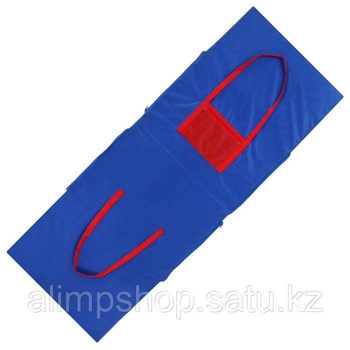 Сумка-коврик ONLITOP для спорта и отдыха 2 в 1, цвет синий - фото 1 - id-p115359109