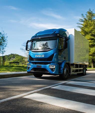 Петля правой двери верхняя Iveco EuroCargo - фото 1 - id-p115385068