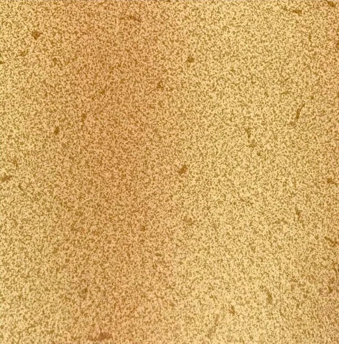 Пвх пленка Cefil Terra 1,65 для бассейна (Алькорплан, песочная) - фото 1 - id-p115395273