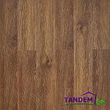 ПВХ плитка Tarkett New AGE  ORTO, фото 2