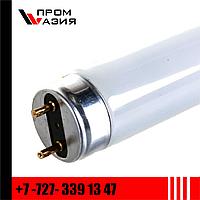 Лампа люминесцентная L 36 W/765 (54) T8 6500K