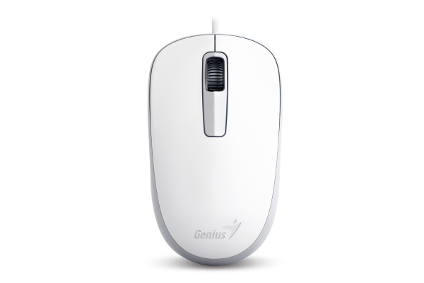 Оптическая мышка Genius DX-125, USB, White 31010106102, фото 1
