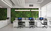 Рабочее место для персонала., фото 3