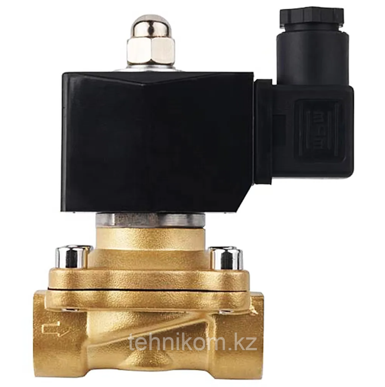 Клапан электромагнитный газовый 2W-350-35-V-D 1-1/4" DN32 купить в ...