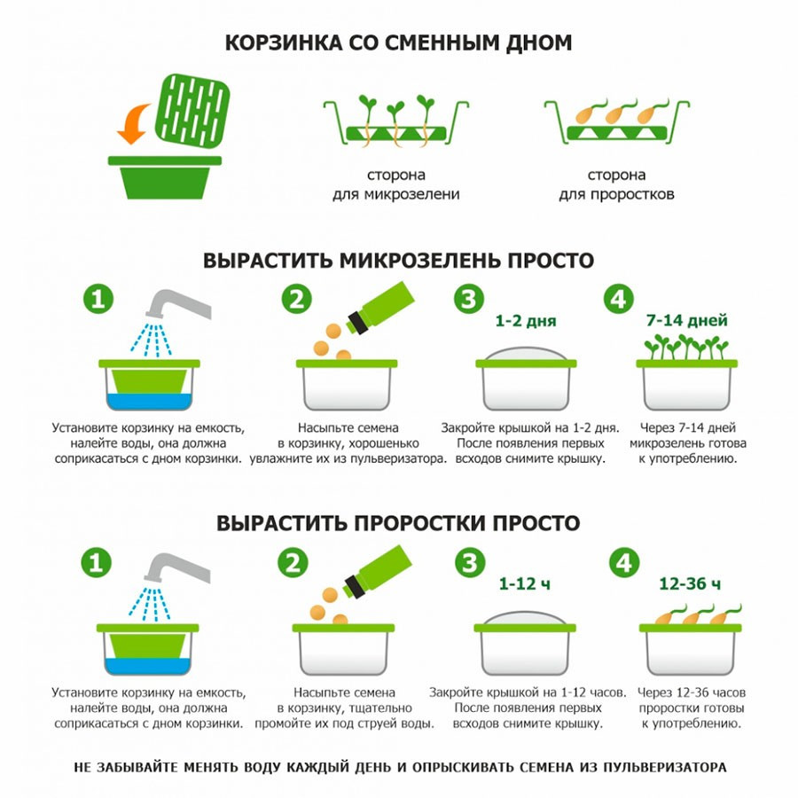 Подарочный набор для проращивания микрозелени: проращиватель, семена дайкона - фото 5 - id-p115461454