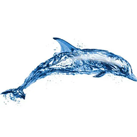 Наклейка Дельфин на алькорплан ( ПВХ пленка)