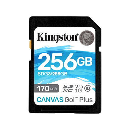 Карта памяти Kingston SDG3/256GB SD 256GB 2-008873, фото 2