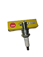 Mitsubishi Pajero 12V NGK оталдыру шамы