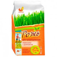 Рожь для проращивания (зерно) 500гр [Дивинка]