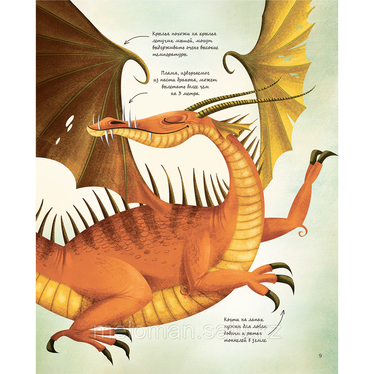 Большая книга о драконах - фото 7 - id-p115512501