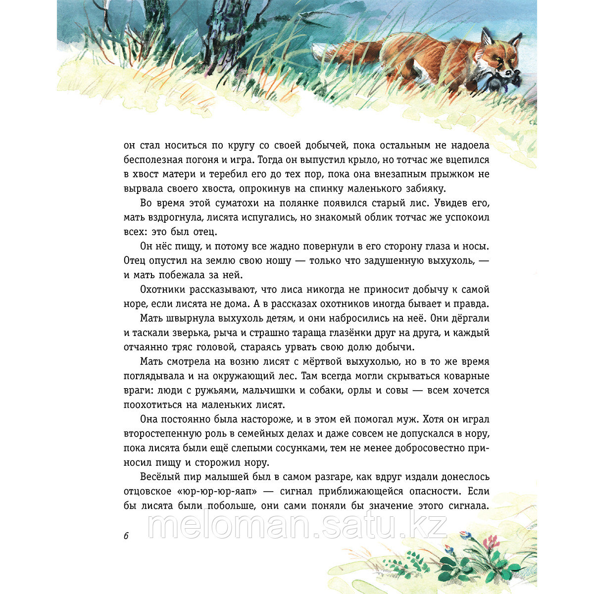 Сетон-Томпсон Э.: Рассказы о животных (илл. В. Канивца) - фото 4 - id-p115512597