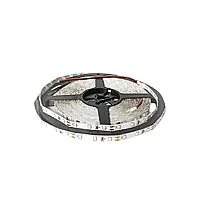 LED Лента (синяя) 12V 9,6W/m 912Lm/m 8mm 11000K IP64 (10м)