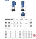 Многоступенчатый вертикальный насос Pedrollo MK 5/5 (1.5кВт | от 1.2 до 7.2 м3/час | от 25 до 69 м Напор), фото 3