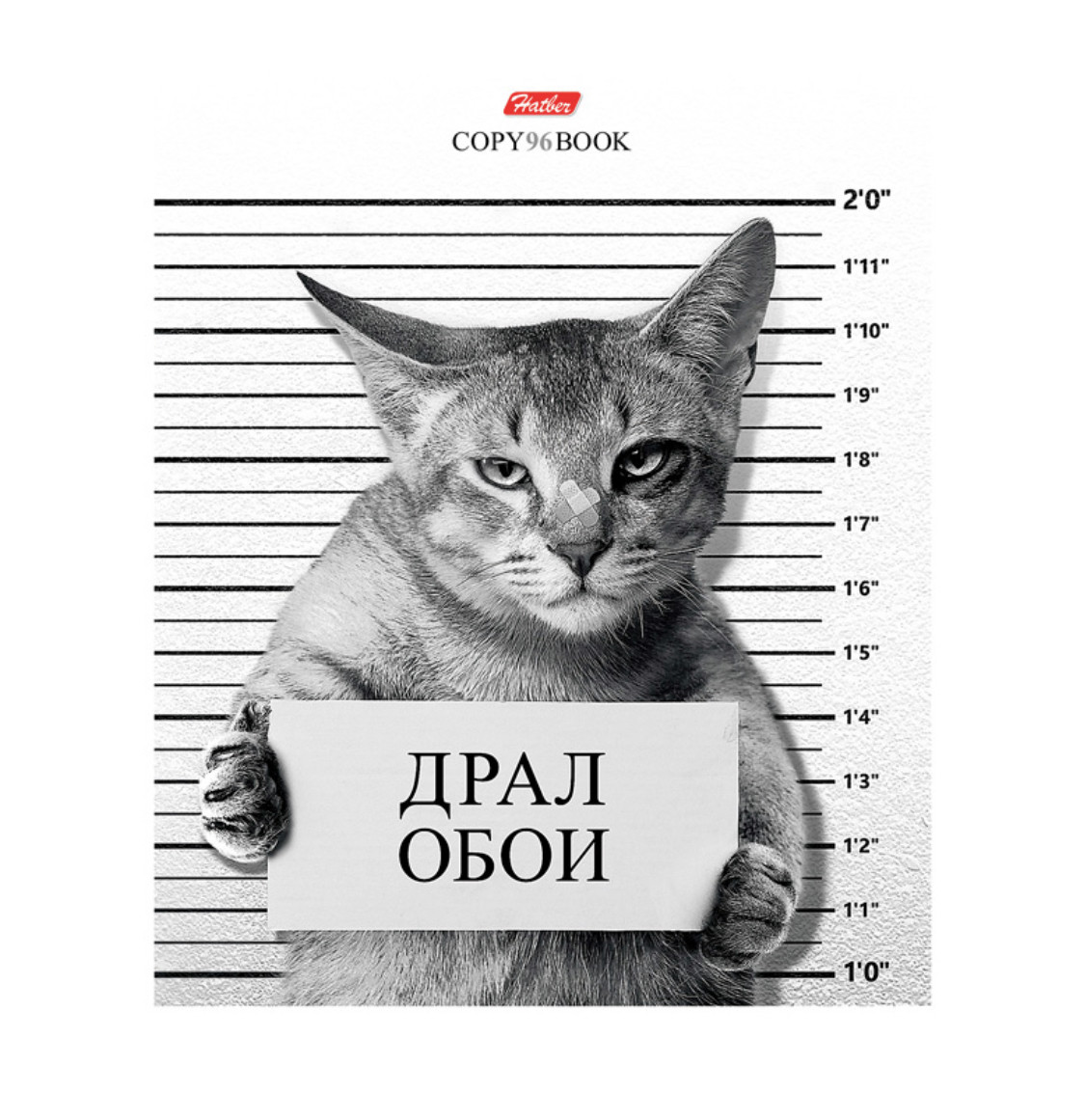 Тетрадь "Hatber", 96л, А5, клетка, на скобе, серия "Кот-обормот - фото 3 - id-p63803247