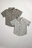 Рубашка ТАКО с коротким рукавом для мальчика мультиколор 100% хлопок №2 под лен, фото 3