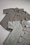 Рубашка ТАКО с коротким рукавом для мальчика мультиколор 100% хлопок №2 под лен, фото 4