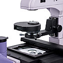 Микроскоп биологический инвертированный MAGUS Bio V350, фото 8