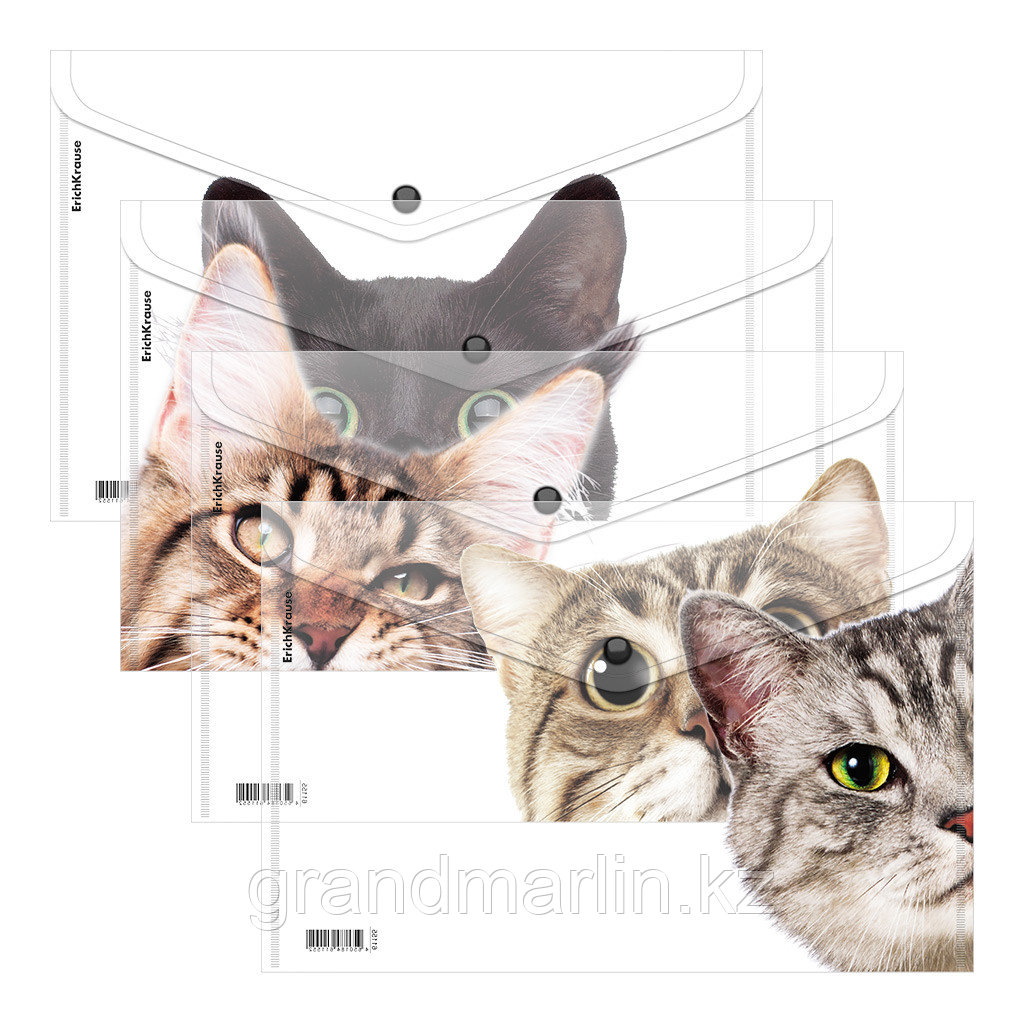 Папка-конверт на кнопке пластиковая ErichKrause Hiding Cats, A4, ассорти (в пакете по 12 шт.) - фото 1 - id-p115504731