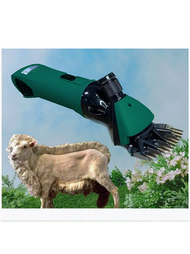 Мультиреальді порно онлайн көру