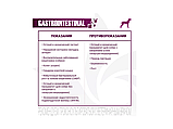 Ветеринарная диета VetSolution Dog Gastrointestinal для собак при заболеваниях ЖКТ 2 кг, фото 3