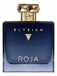 Духи ROJA Elysim Pour Homme EDP 100 ml