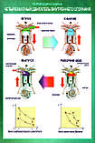 Плакаты Термодинамика, фото 4