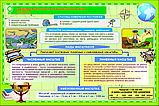 Г.1 Плакаты Физическая география, фото 6