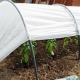 Агроволокно укрывной материал спандонд (Агроспан) 30 г/м2. Высокое качество., фото 4