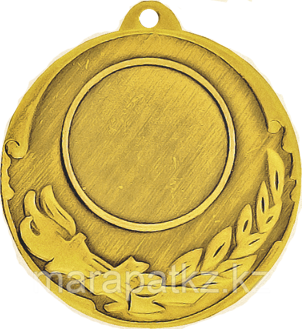 Медаль 2011 Золото