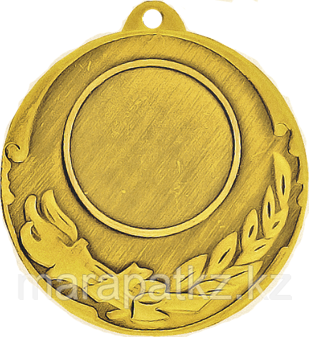 Медаль 2011 Золото, фото 2