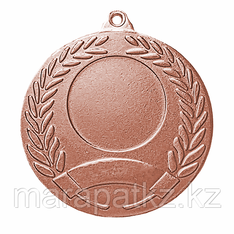 Медаль 2013 Бронза, фото 2