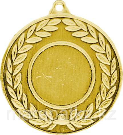 Медаль 2010 Золото, фото 2