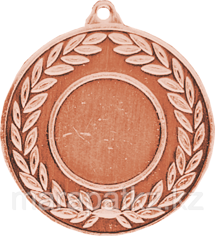Медаль 2010 Бронза, фото 2