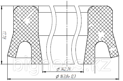 №8 Уплотнитель поршня PPG 180x5000.021 (чертёж УПЛ-2FZ18-35.00.002)