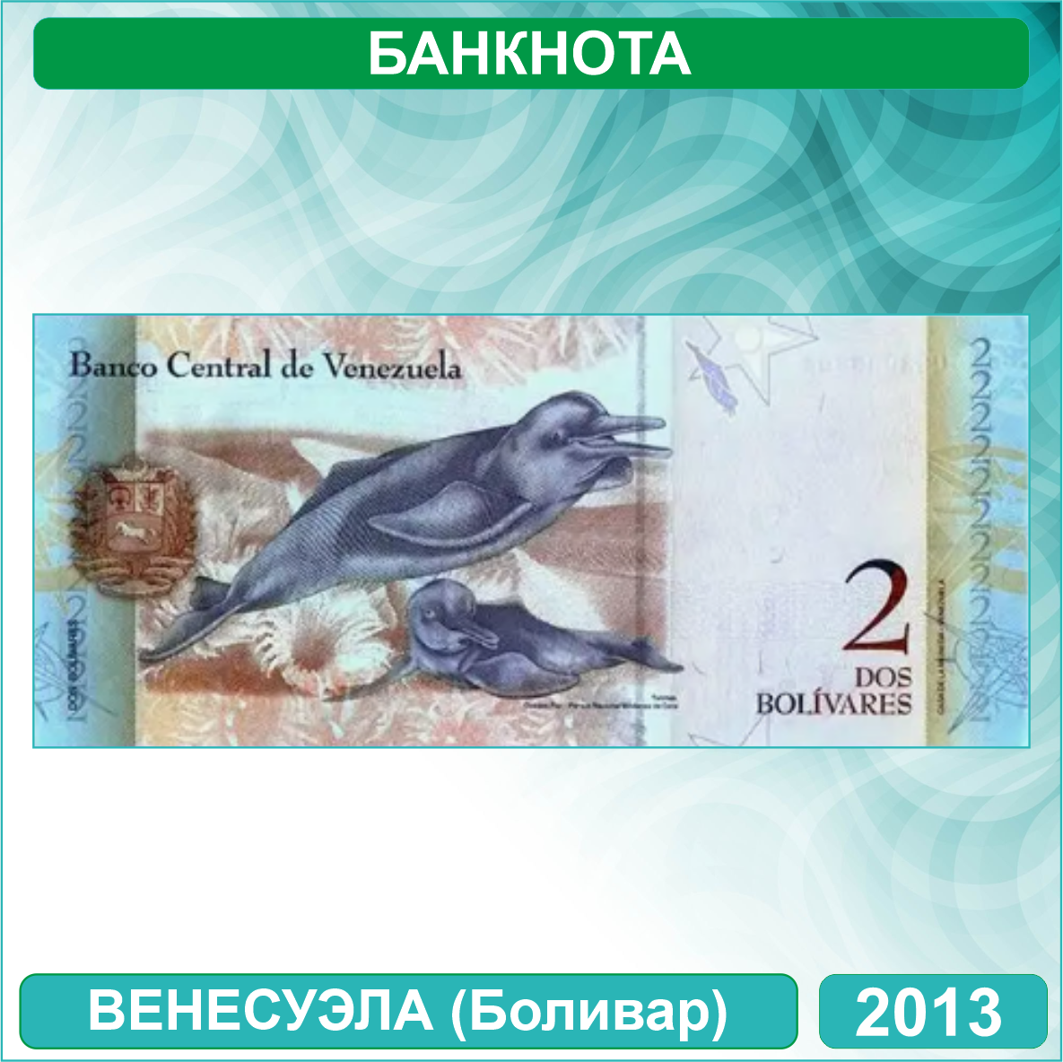 Банкнота 2 боливара (Венесуэла) 2012-2013 (UNC) - фото 2 - id-p115740621