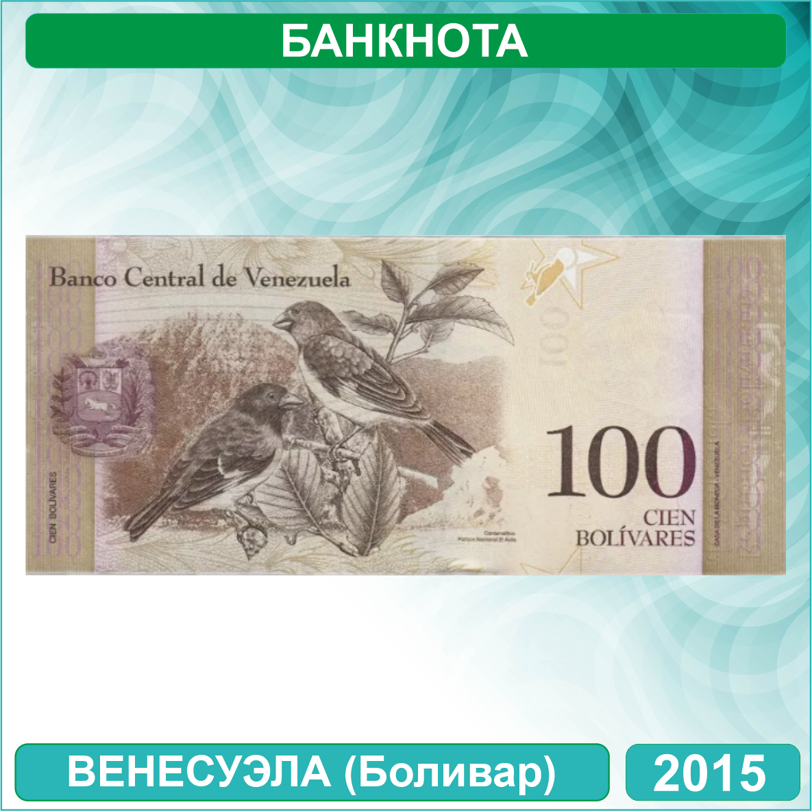 Банкнота 100 боливар (Венесуэла) 2015 (VF - из обращения) - фото 2 - id-p115740702