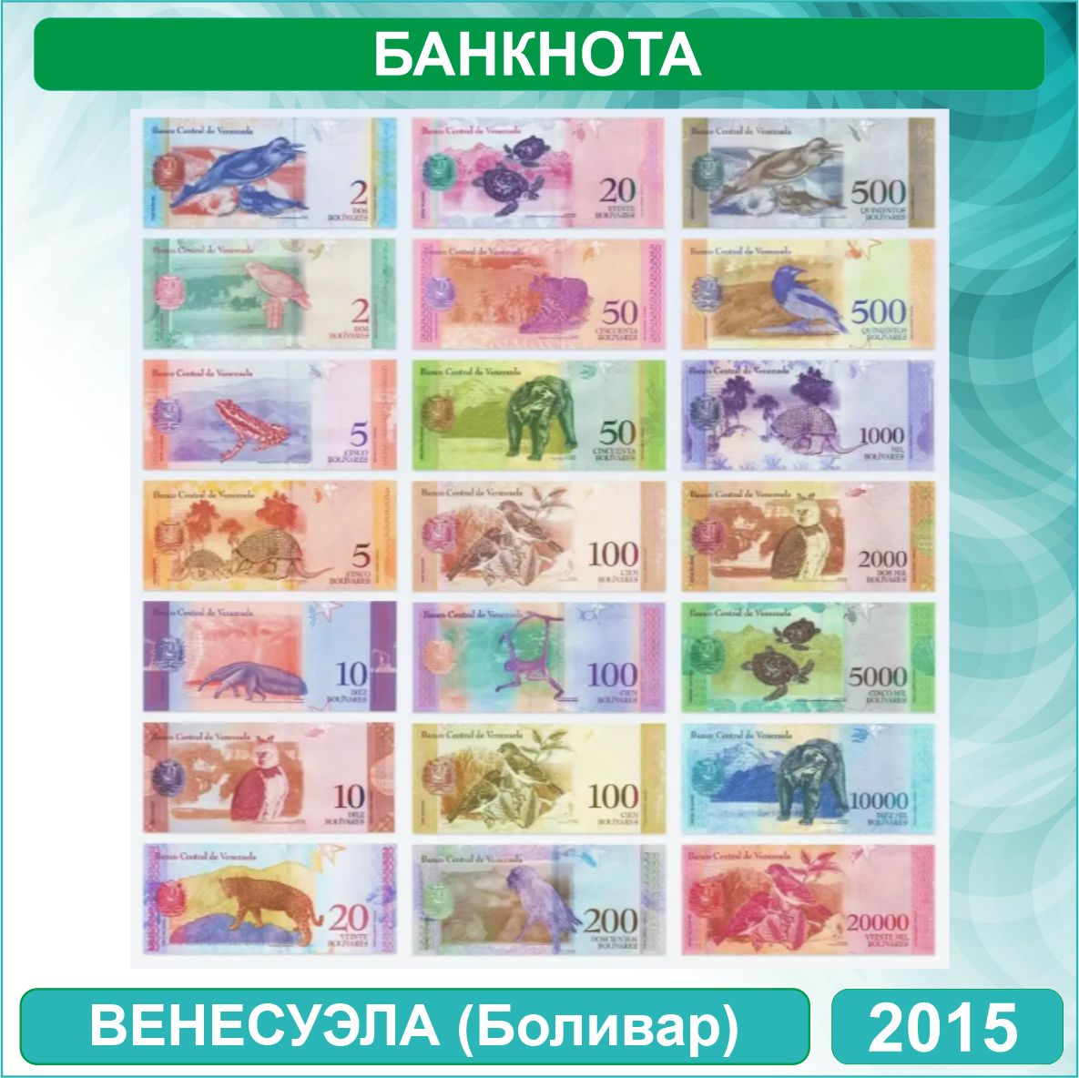 Банкнота 100 боливар (Венесуэла) 2015 (VF - из обращения) - фото 3 - id-p115740702