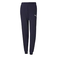 Puma Teamgoal 23 Casuals Pants JR