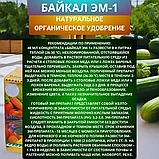 "Байкал ЭМ-1" (оригинал) - оздоровление почвы (концентрат), 40мл, фото 3