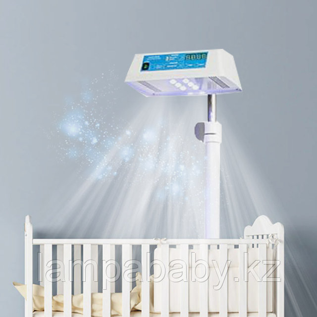 Фотосуреттер латекспен байланған