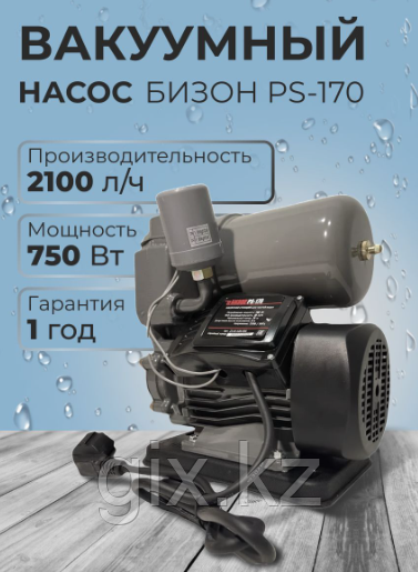 Вакуумный насос для воды Бизон PS 170