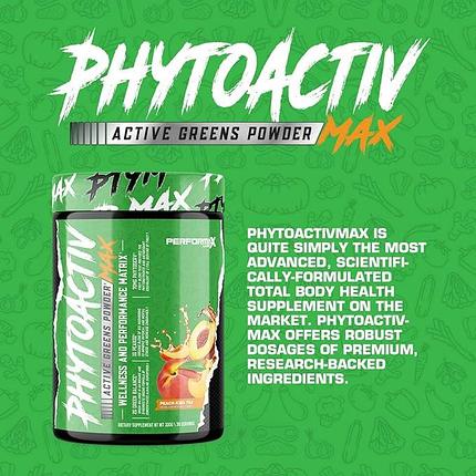 Очищение организма Fhyto Activ MAX, 330 g, Performax Labs, фото 1