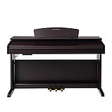 Цифровое пианино ROCKDALE Etude 128 Graded Rosewood, фото 3